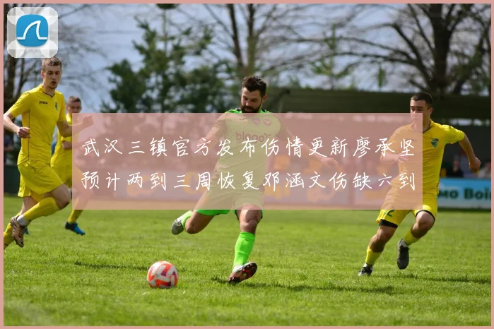 武汉三镇官方发布伤情更新廖承坚预计两到三周恢复邓涵文伤缺六到八周