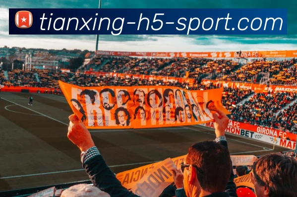 App Interface Preview