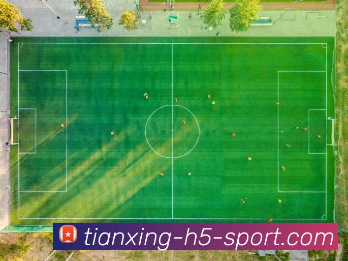 天行体育APP 封面图